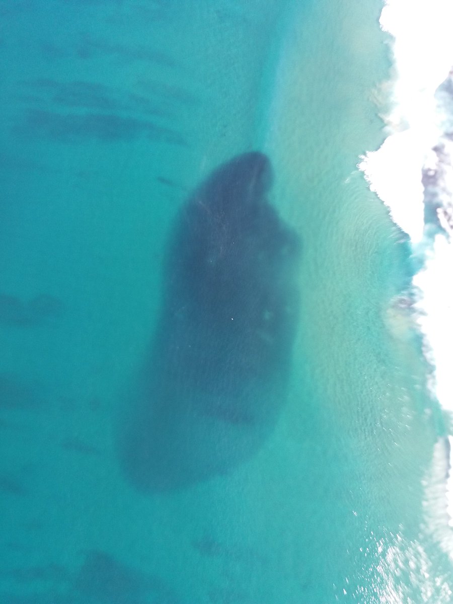 @africanwatersports tweet media