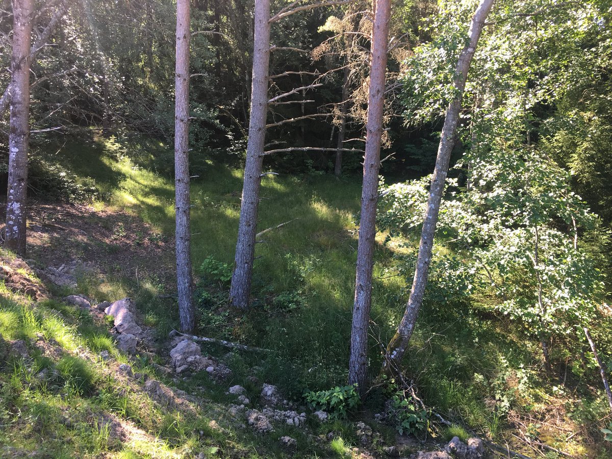 Location-scouting!