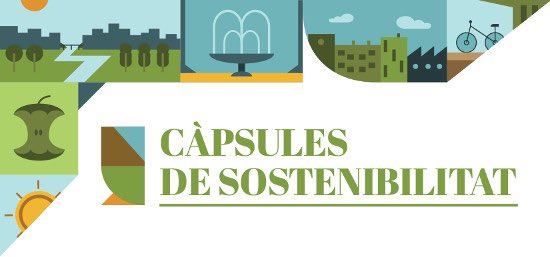 lfds_bcn's tweet photo. #SabiesQue les famoses tovalloletes humides embruten més que netegen? Intentem #reduïr el nostre #consum i fem un ús conscient també en la nostra higiene personal, els #residus que generem al rebuig i no al wc #soswc #FàbricadelSol #càpsuladesostenibilitat https://t.co/LfHp8iuUa5 https://t.co/yb2ScH3Ydx