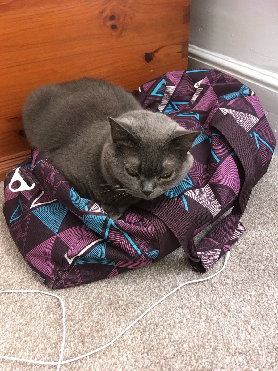Either you’ve not unpacked yet or you’re going somewhere, but I’ll be guarding this bag either way!