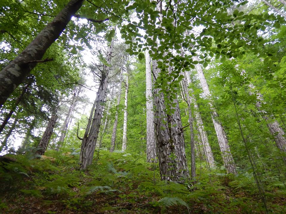 "Πού πήγε η μαγεία;" .. ένα άρθρο του Αναστάσιου Μπιλμπίλη μετά τον τερματισμό του στο <a href="/OMT100K/">Olympus Mythical Trail</a>, το οποίο δίνει έμφαση σε ένα θέμα που απασχολεί πολλούς αθλητές του ορεινού τρεξίματος: bit.ly/2KLWUf2