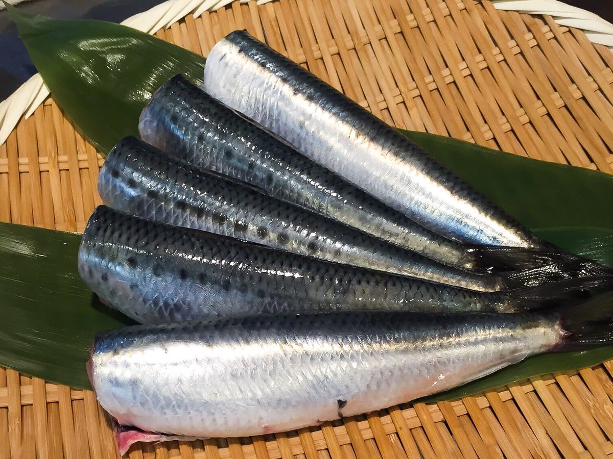 釜めし菜時記 菜つ屋 本日 新鮮な北海道のイワシが入りました とっても美味しいです なので イワシのお刺身 が特別価格 650円でご提供致します ご来店の際にこちらのツイートを 見せてください 菜つ屋 イワシ刺し 釜めし菜時記 菜つ屋 本日 新鮮な北海道のイワシが入りました とっても美味しいです なので イワシのお刺身 が特別価格 650円でご提供致します ご来店の際にこちらのツイートを 見せてください 菜つ屋 イワシ刺し