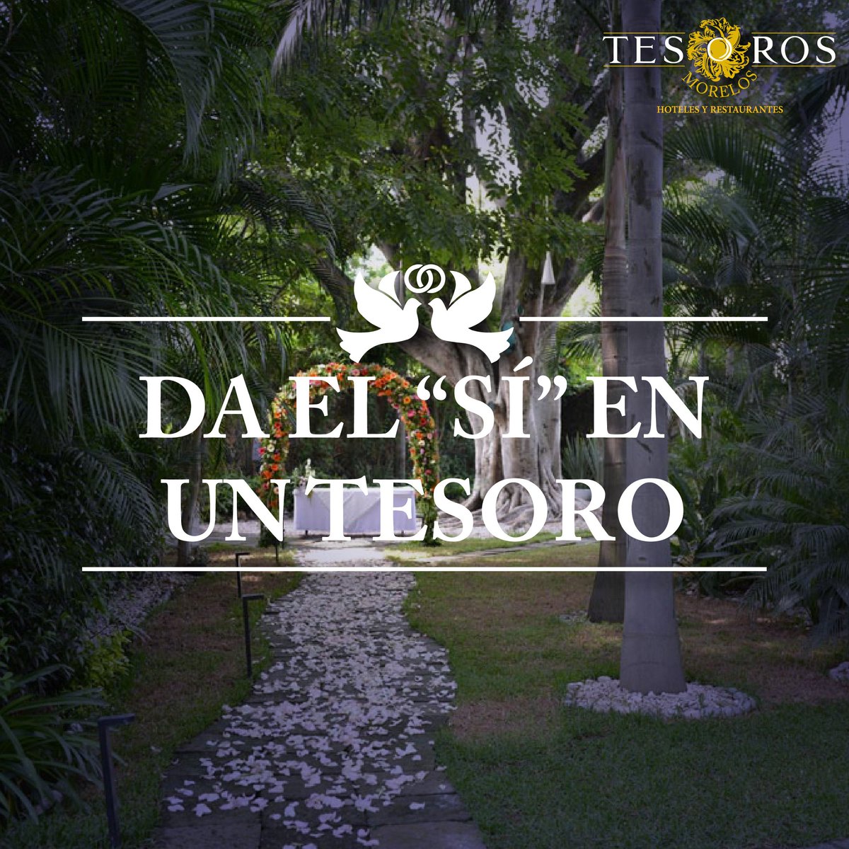 Tesoros de Morelos tweet media