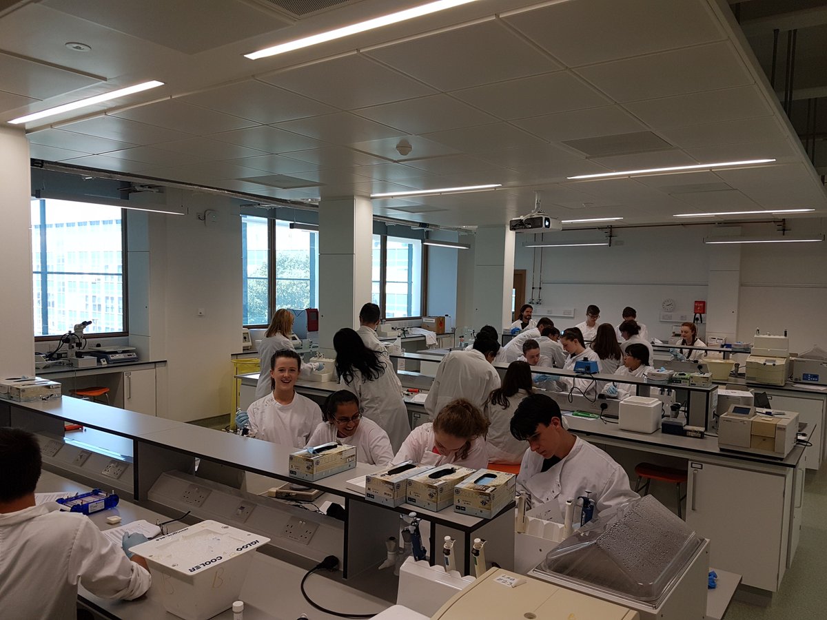 Working together to cure blindness... We are devloping basic lab skills and amplifying DNA in today's practical session in <a href="/ucdscience/">UCD Science</a> <a href="/BreandanKennedy/">Breandán Kennedy UCD</a> <a href="/UCD_SBBS/">UCD SBBS</a> <a href="/OPGG_UCD/">Ocular Pharmacology</a> <a href="/3dneonet/">3DNEONET Consortium</a> <a href="/BritPharmSoc/">British Pharmacological Society</a>