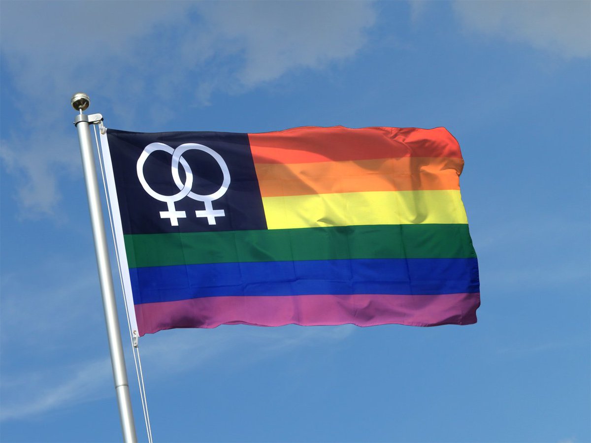 Have you seen the well-designed LESBIAN pride flags? 