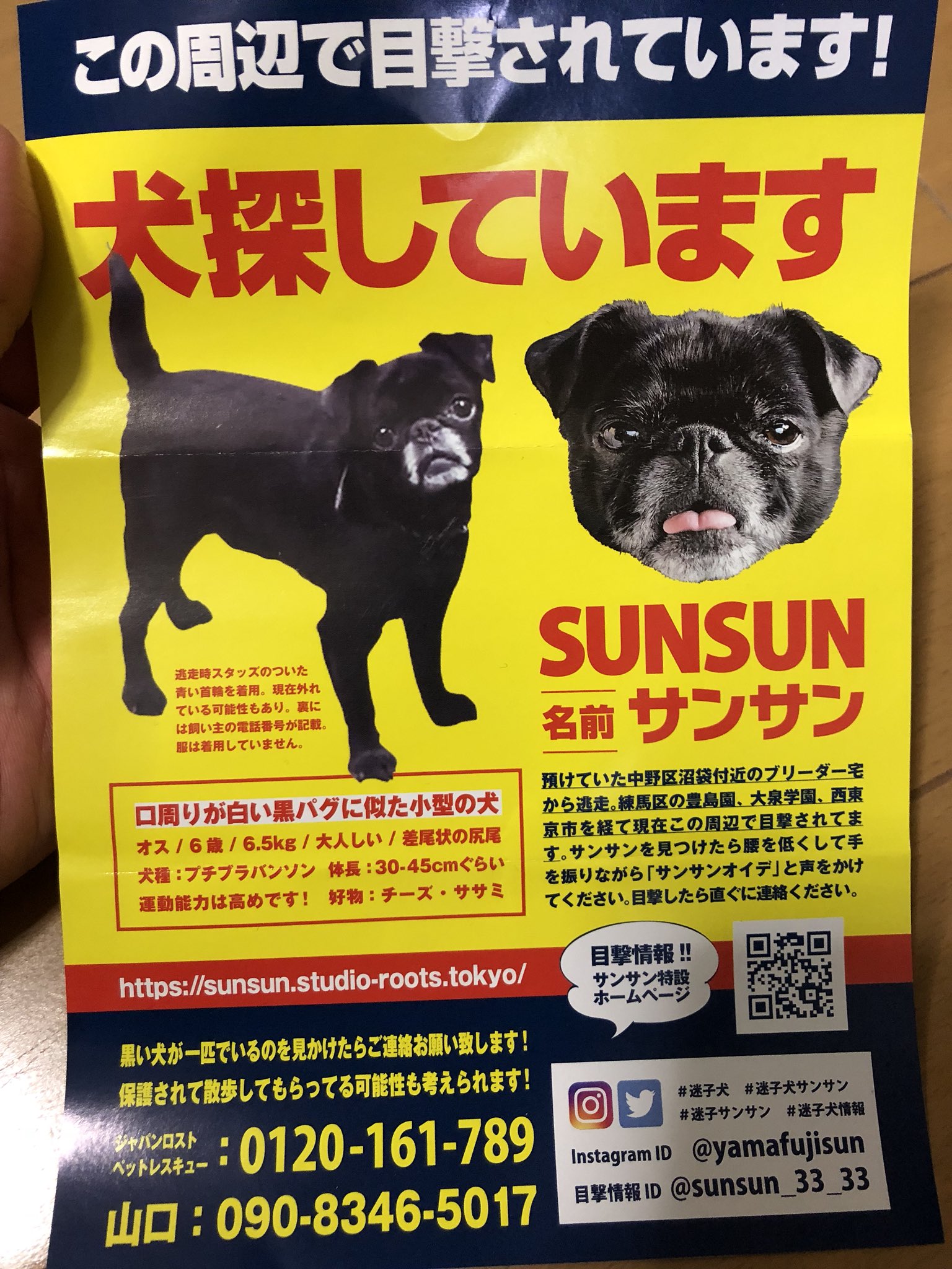 迷子サンサン Twitter Search Twitter