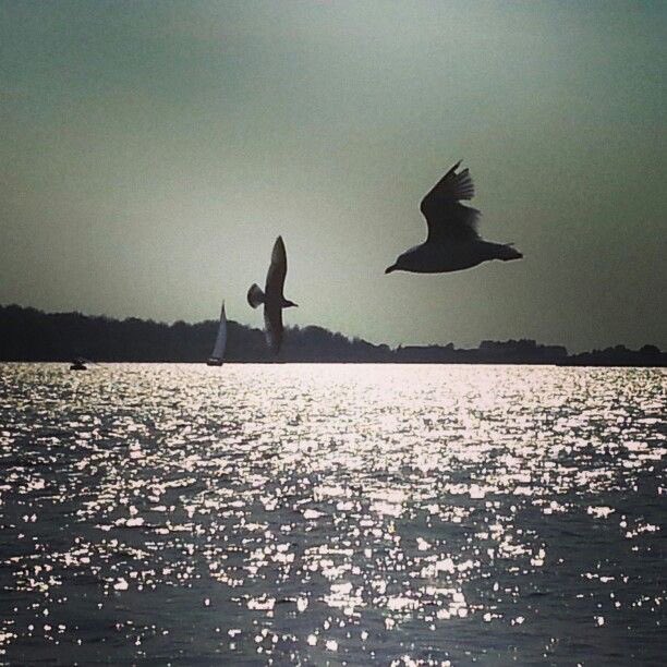 sarahsynergie's tweet image. #prototypingLab #Kortgene