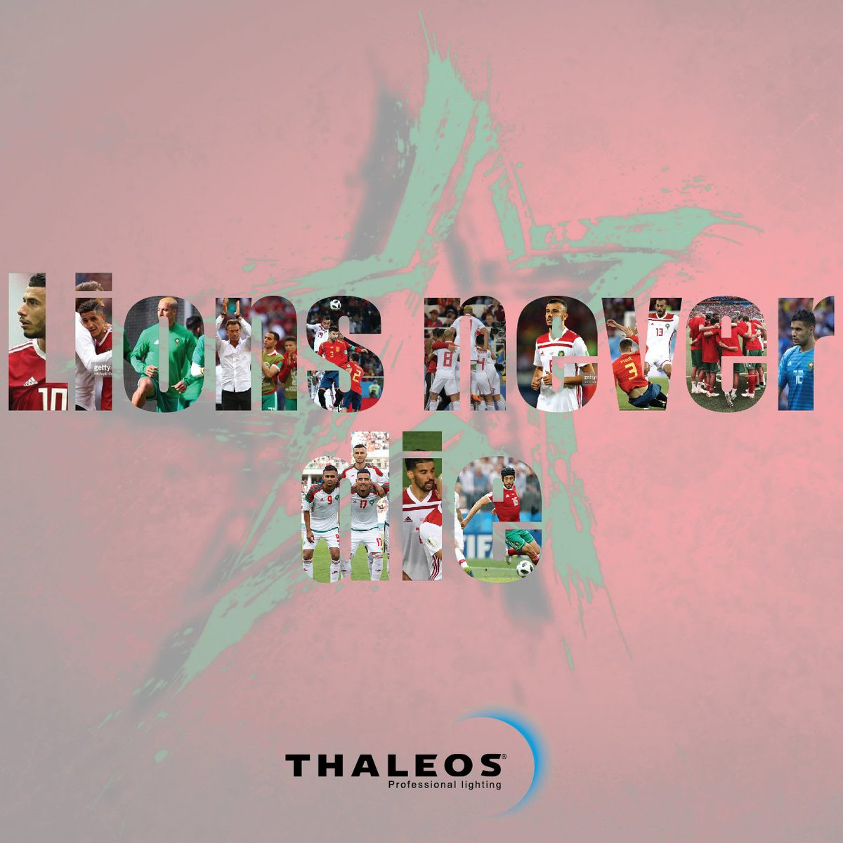 ThaleosM tweet picture