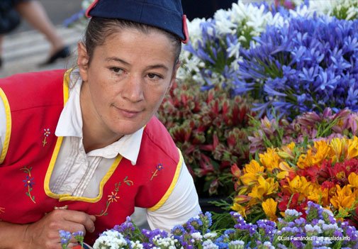 MADEIRAISLAND2's tweet photo. In Mercado dos Lavradores, the flowers are sold by ladies dressed in typical costume. https://t.co/TKZl0jc2Kj
