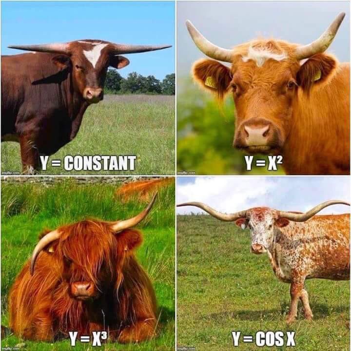 HGHS_Maths's tweet image. One way to remember some of your graphs...#YouMooostBeMad #BadJokes #WhatIsThePoint #Graphs #Cows #Maths 🤦🏽‍♀️🤷🏽‍♀️