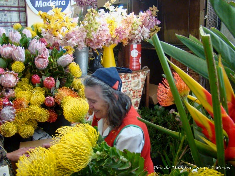 MADEIRAISLAND2's tweet photo. Mercado dos Lavradores, Funchal city. https://t.co/CV1KfrGoXl