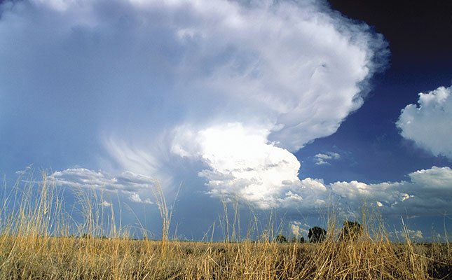 GrainSA's tweet photo. Carl Opperman, CEO of @AgriWesKaap, said the recent rains has been positive for grain farmers in the #WesternCape, but follow-up #rain is needed in all the regions.
Read the full story in the article below: https://t.co/reMkYc7kY1
#GraanSA #GrainSA #WCdrought https://t.co/0Dd93UMa34