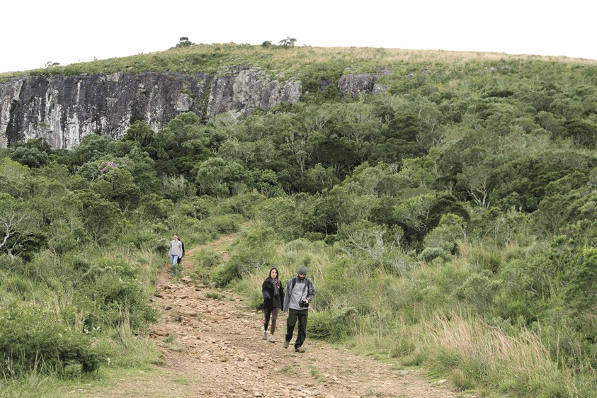 Roteiro Aventura (3 dias): E aí? Pensando em realizar uma aventura inesquecível, daquelas que entram para o rol das coisas que todo mundo deveria fazer pelo menos uma vez na vida? encurtador.net/hkpCO #cambaradosul #terradoscanions #aparadosdaserra #serragaucha