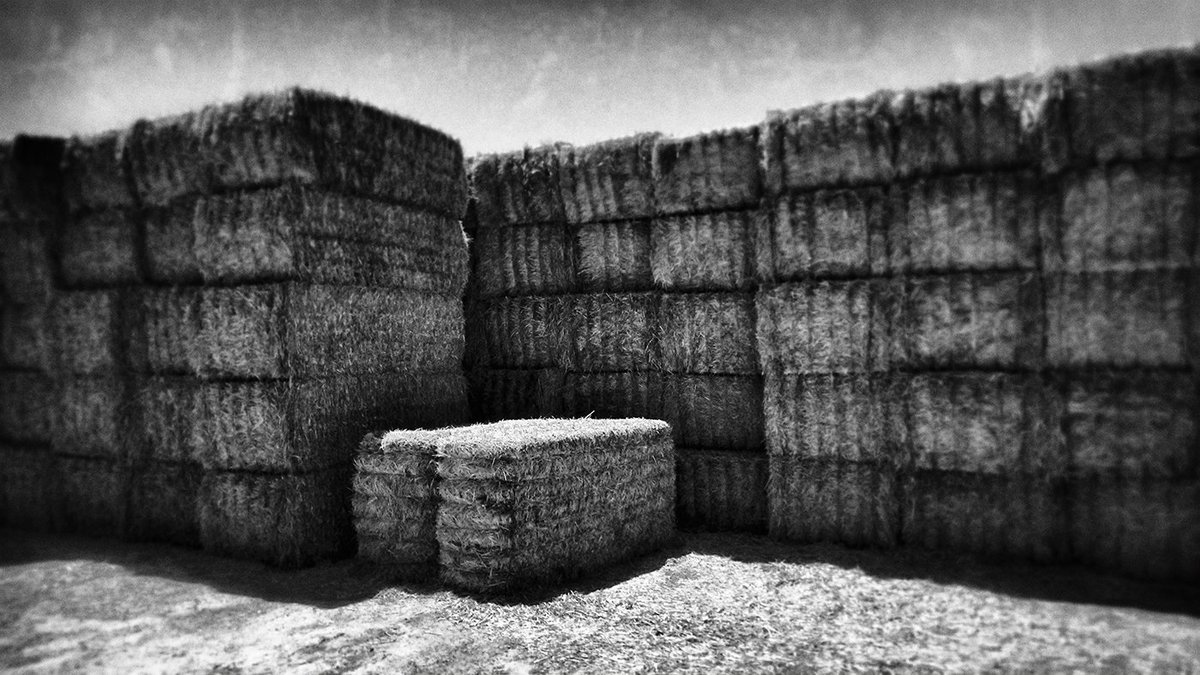 Haystacks, near the Salton Sea, CA #environment #Saltonsea #hay #haystacks #blackandwhitephotography #artforsale #imperialvalley #desert #mojavedesert #art #gallery #artgallery