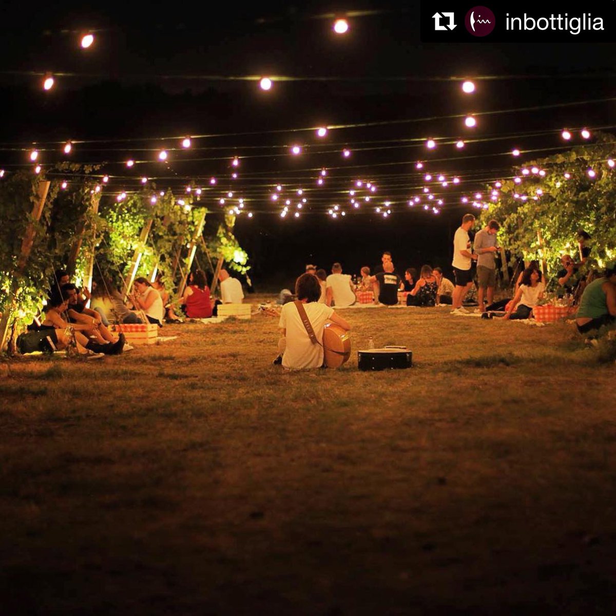 Il picnic di Inbottiglia presso Azienda Agricola Venciu.