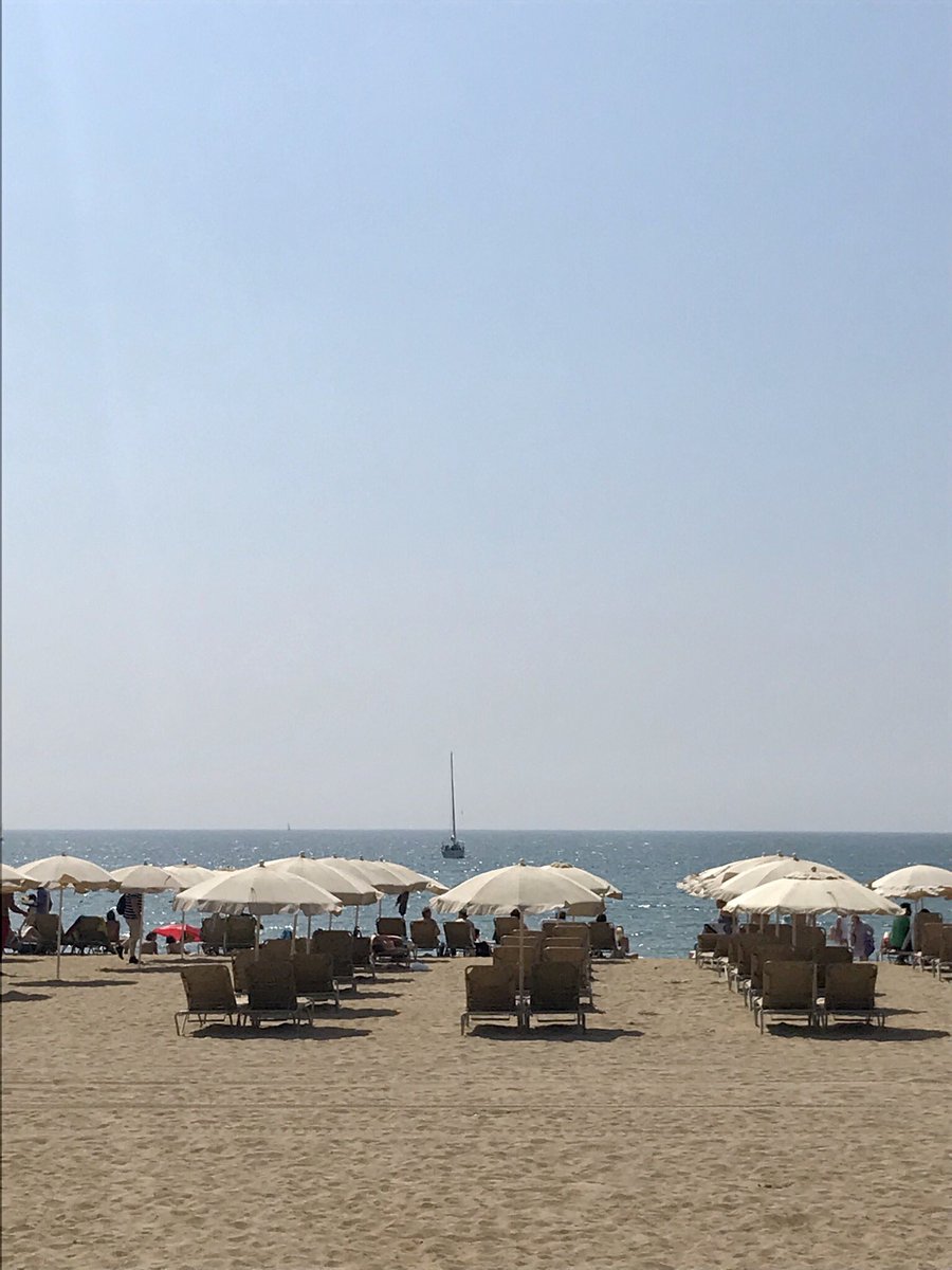 AnniNorring's tweet image. This concept of beach between classes on Bayesian estimation methods definitely has its benefits - but they are not related to productivity 

#BGSEsummer #macroeconometrics #onthebeach @barcelonagse