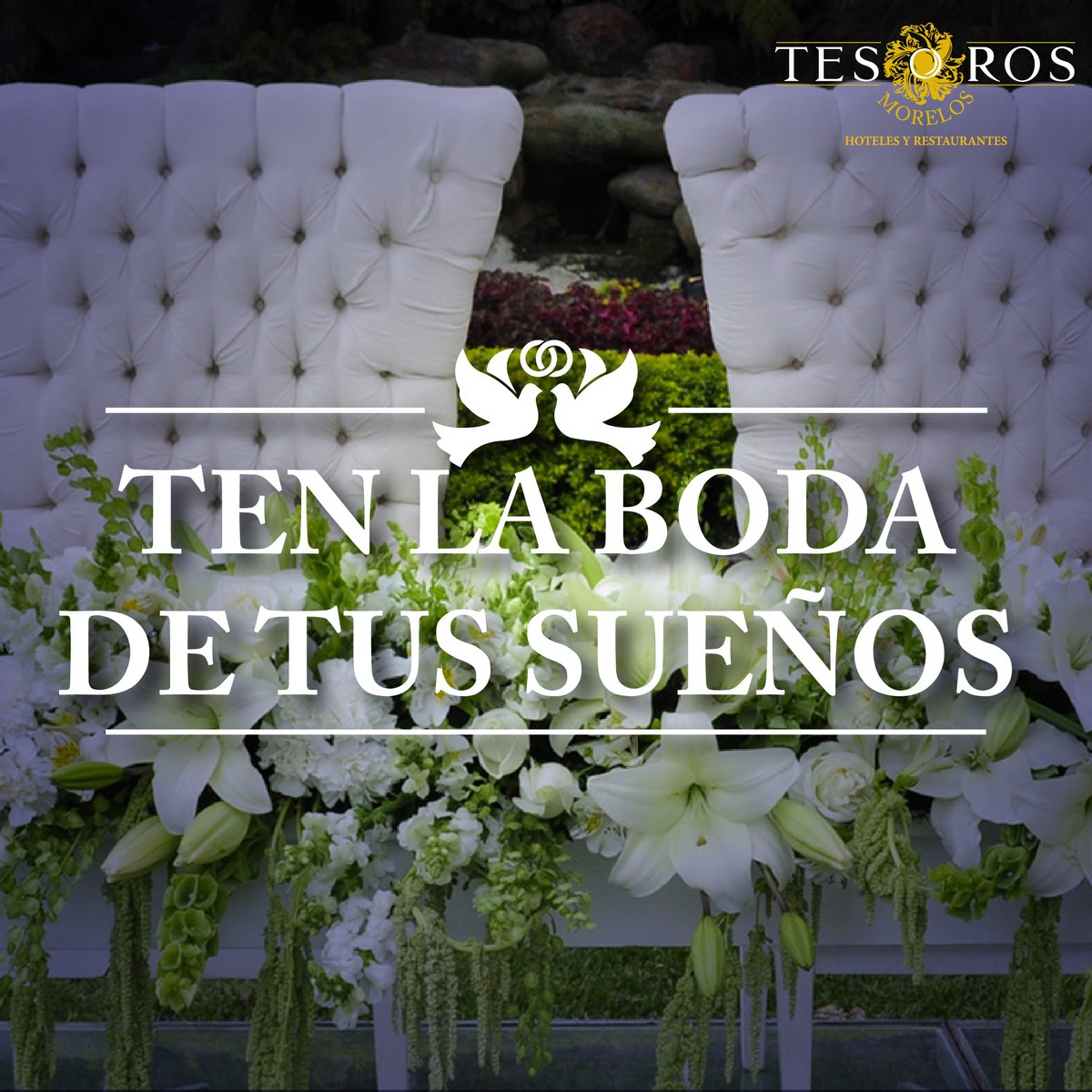 Tesoros de Morelos tweet media