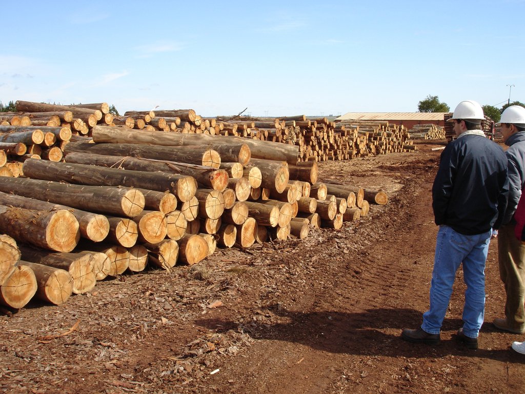 OHC goes to great lengths to ensure we stock the highest quality lumber that is available. To do this we travel to meet with our suppliers in South America, Africa, and Asia. Click the link to learn about what a day in the life of a tropical hardwoods buyer is like.