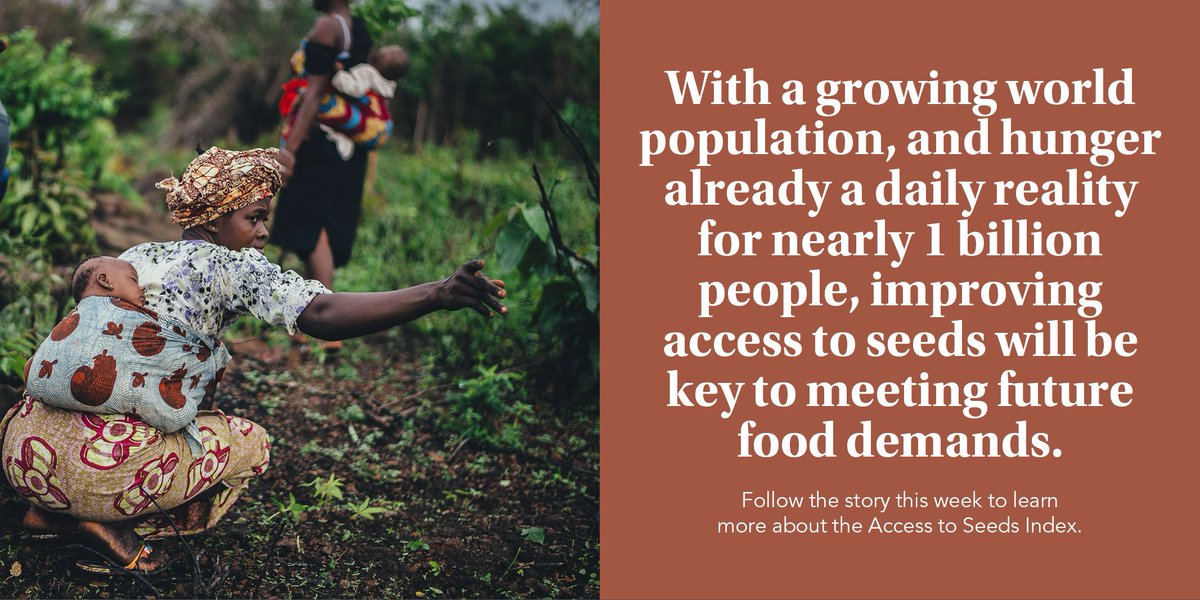Why the seed industry? 
The world population is expected to grow in coming decades, especially in those regions already considered #foodinsecure. Improving access to seeds for #smallholders is where seed companies can contribute to feeding a #growingpopulation. 
#ATSInsights