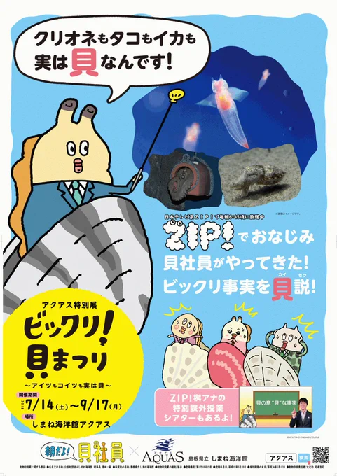 【最新情報】
「朝だよ!貝社員」が島根県立しまね海洋館 アクアスにやってくる!! 特別展「ビックリ!貝まつり～アイツもコイツもじつは貝～」が開催決定したっす!!   開催期間:2018年7月14日(土)～9月17日(月)
詳しくはこちら⇒ https://t.co/5GQOS6mjp1 