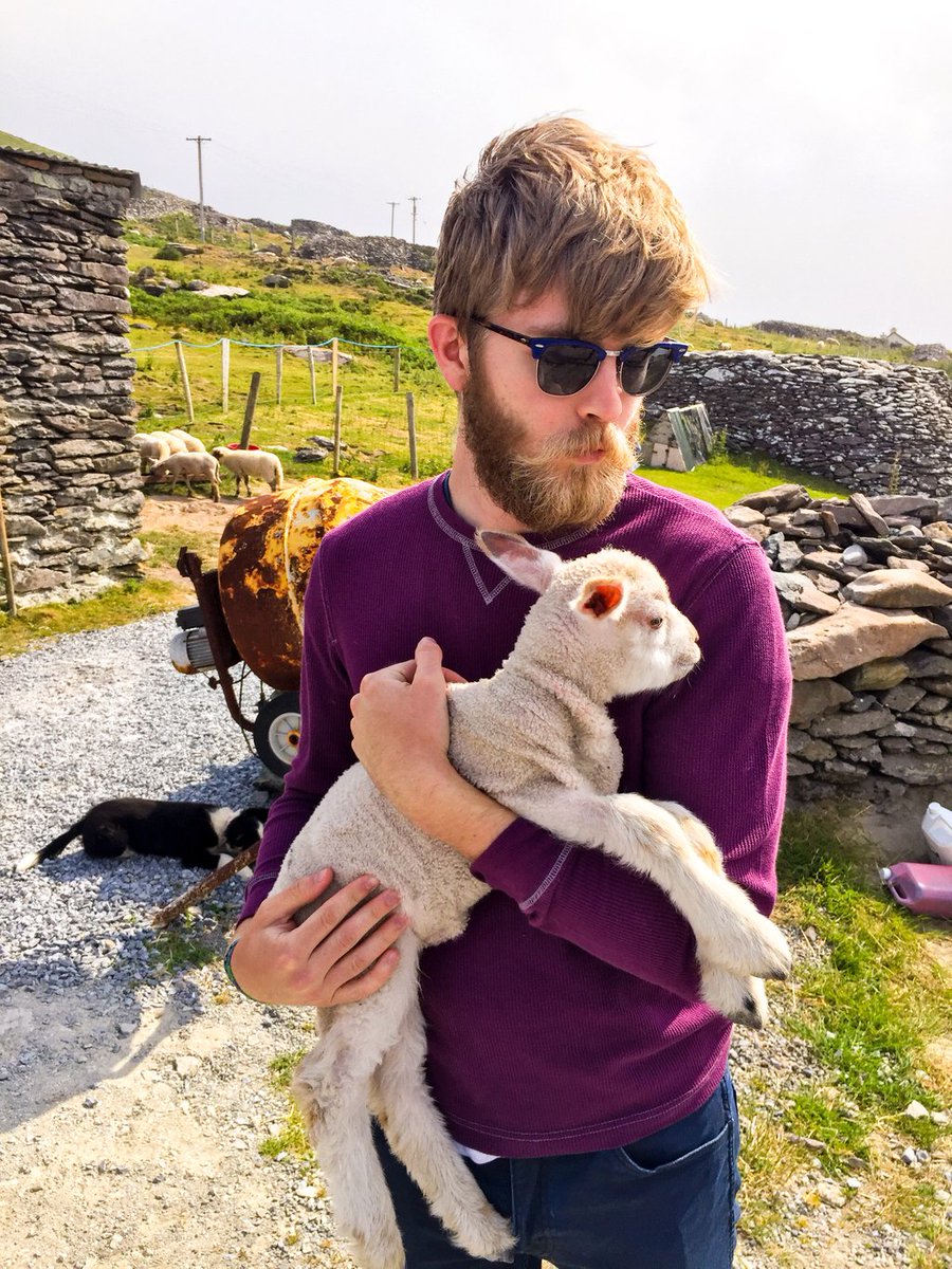 geomoetric's tweet photo. This baby lamb wanted to snuggle! https://t.co/J5we67Y4dN