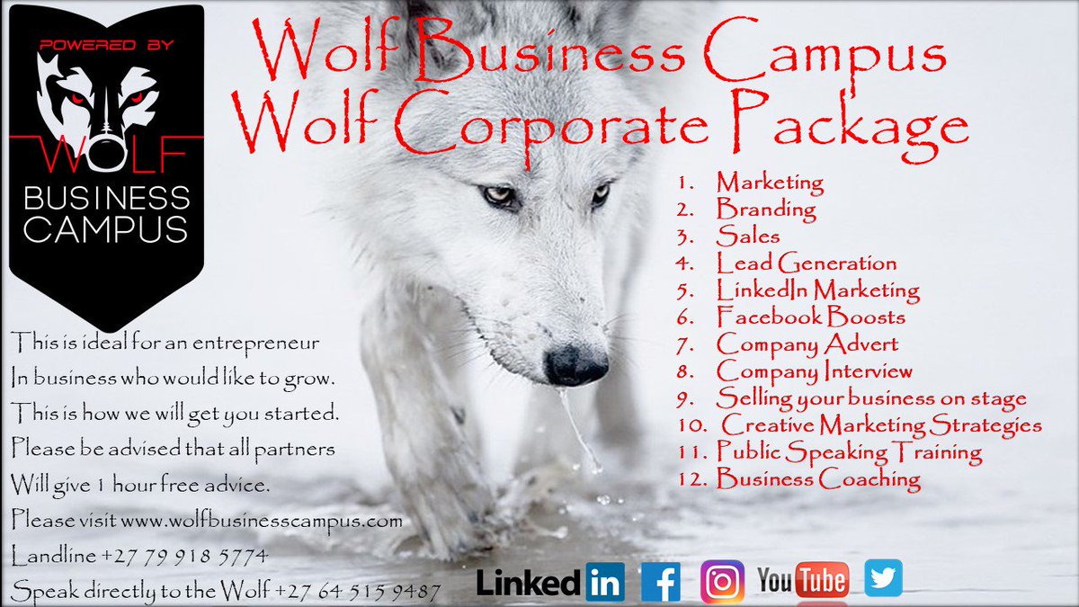 dancarsonwolf's tweet image. This package is perfect for entrepreneurs to build a bigger business and expand in all areas. 
Visit wolfbusinesscampus.com
email admin@wolfbusinesscampus.com