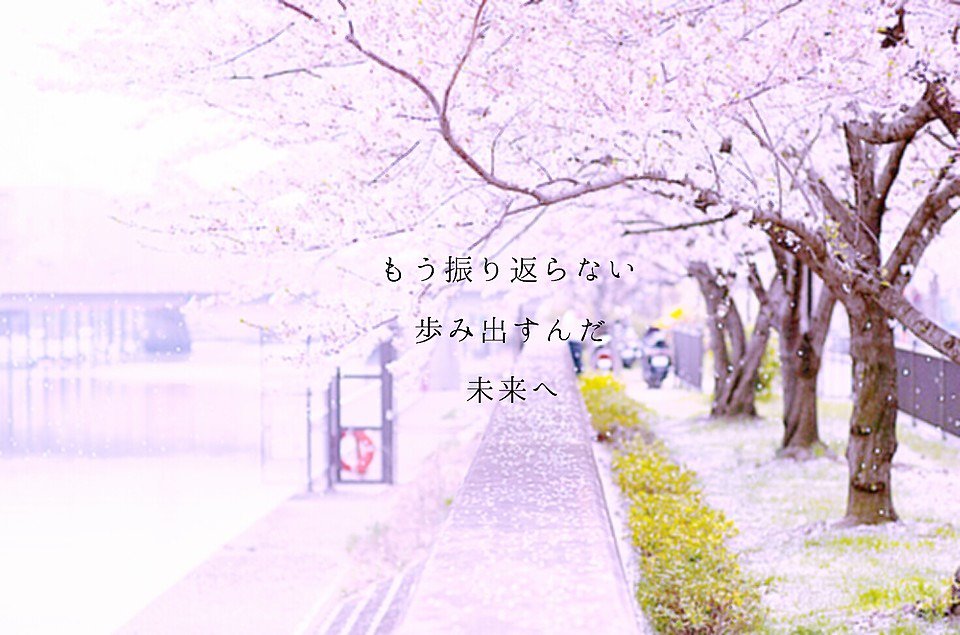 勉強垢、はじめました。
地方公立高校3年です。

全力を出して勉強していない自分にいらだちを抱え、できない理由を考え納得させ、そんな毎日の積み重ねのストレスで顔にぶつぶつが・・・えらいこと・・とにかくちょっとずつでも、今できることを頑張りたいです。

#勉強垢 
#受験