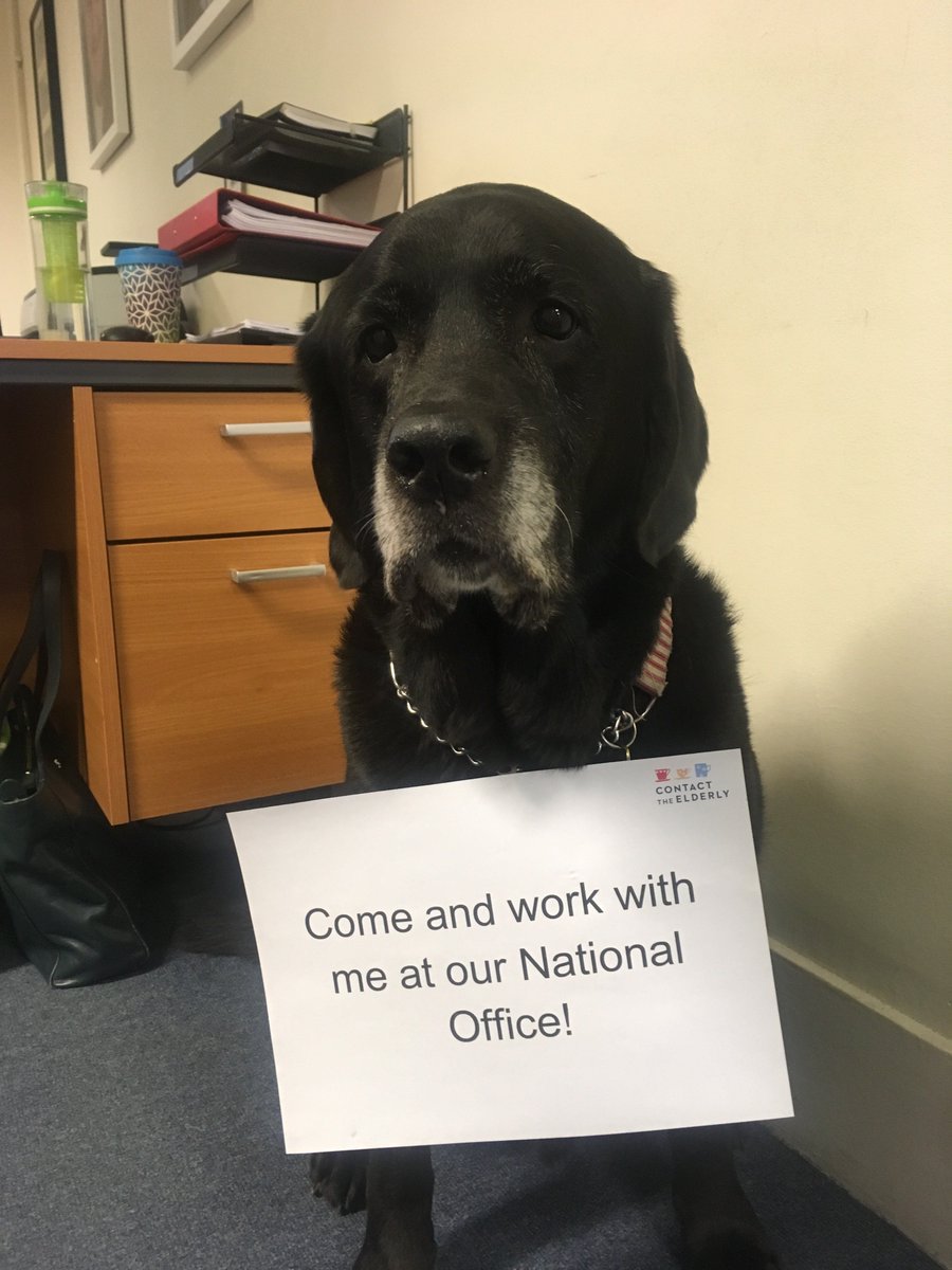 reengageuk's tweet image. We’re hiring a Support Officer for North London! contact-the-elderly.org.uk/about-us/work-… #charityjobs