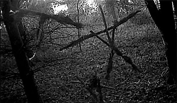 MagicMans_net's tweet photo. En 1999 una película de bajísimo presupuesto cambió el #cine de #terror.
La historia detrás de la #BrujadeBlair es tan apasionante como misteriosa...

😱📹 ¿Qué hay de cierto sobre #Blair, #Burkittsville y su famosa #bruja? 😒🧙‍♀️

https://t.co/mWYXRdZ9Ll

#MagicMans #Brujería https://t.co/Dh15Gk7lZN