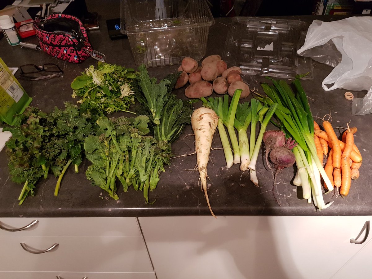 bonglord's tweet photo. Got a locally grown, seasonal veggie box. Had to use machine learning to figure out what half this shit is https://t.co/r5vDUYqi2m