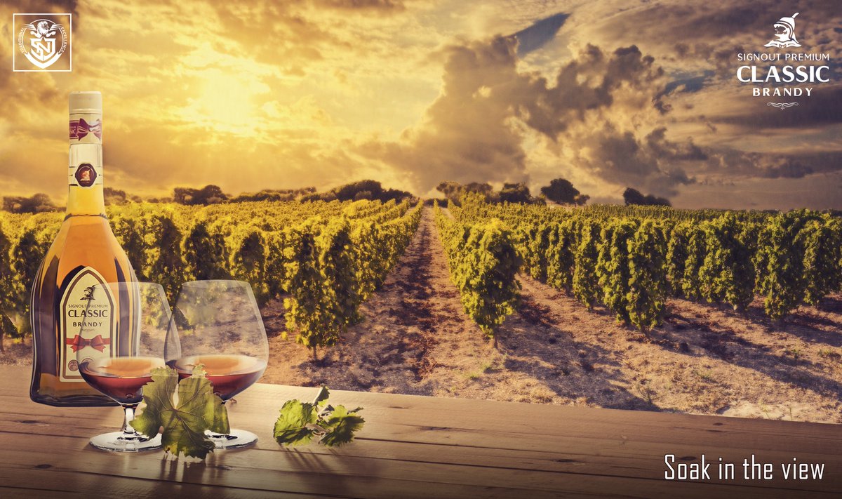 signoutpremium's tweet photo. Soak in the view👍
#signoutclassic #premiumbrandy 
#SNJ #Signoutclassicbrandy
#Brandy #BrandyLove https://t.co/MYYNiGrqyJ
