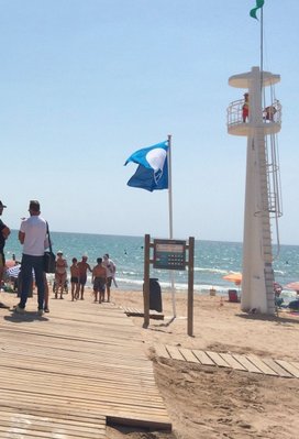Seguimos con Bendera Verde en todas las playas de #Elche. A disfrutar de un buen día de playa. Informa <a href="/AmbumarSyA/">Ambumar SyA</a>  en <a href="/OndaCeroElche/">Onda Cero Elche</a>.