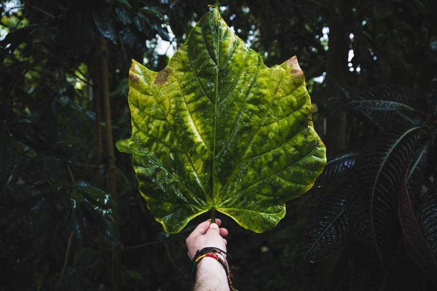 eddaline's tweet image. Einfach mal einen anderen Weg zur Arbeit nehmen: buff.ly/2MIcGbt