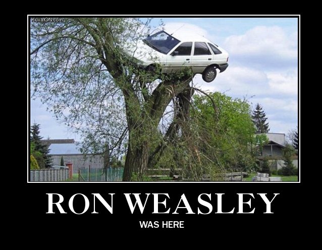 MuggleNet's tweet photo. We need to stop giving #RonWeasley flying cars... #LearnToDrive #ParkInTheTree https://t.co/vbwJgUgTbP