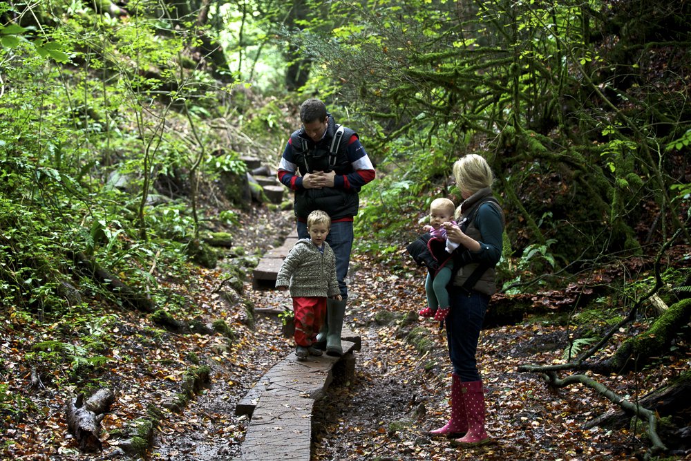 Why not take the family to @puzzlewoodfod for hidden paths, farmyard animals, TV/Film locations and special events?  bit.ly/2KxprJC #DeanWye #ForestofDean