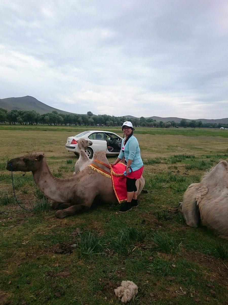 RaquenoDhez's tweet photo. Tara n baba n tau s patag mahina n ang net dto s bundok...
Ps. Eto ang sakyan q pababa s bundok ang Camel.hahahah
Cno gusto sumama Tara n
#TonyMLcomingSoon https://t.co/PsH292AwO8
