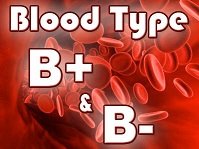 GoodBbloodfood's tweet image. Here’s an interesting/great article to kick start eating right for your blood:  How to start the Blood Type Diet
buff.ly/2z5sgvX
#lowlectin#glutenfree#bloodtypediet #recipe #eatright4yourtype#DADAMONUTRITION