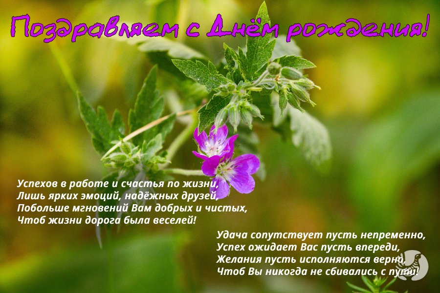 съездить поздравление коллег на природе все, что мне