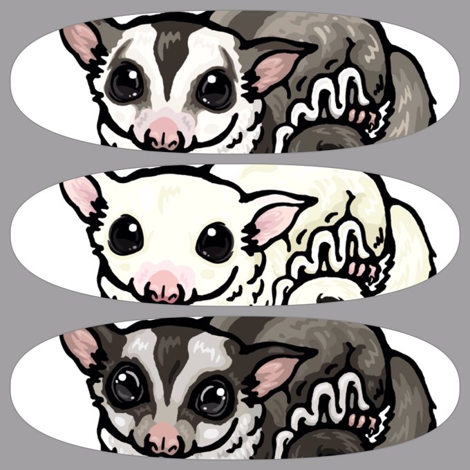 フクロモモンガのtwitterイラスト検索結果 古い順