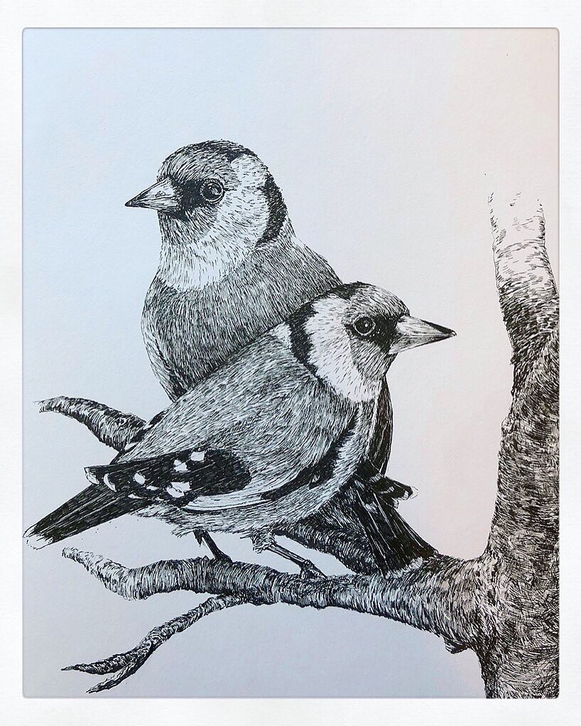 AtelierGeeraets's tweet photo. Tekening gemaakt. Het zijn twee puttertjes.

Retweet is lief. https://t.co/JytCBkfwhy
