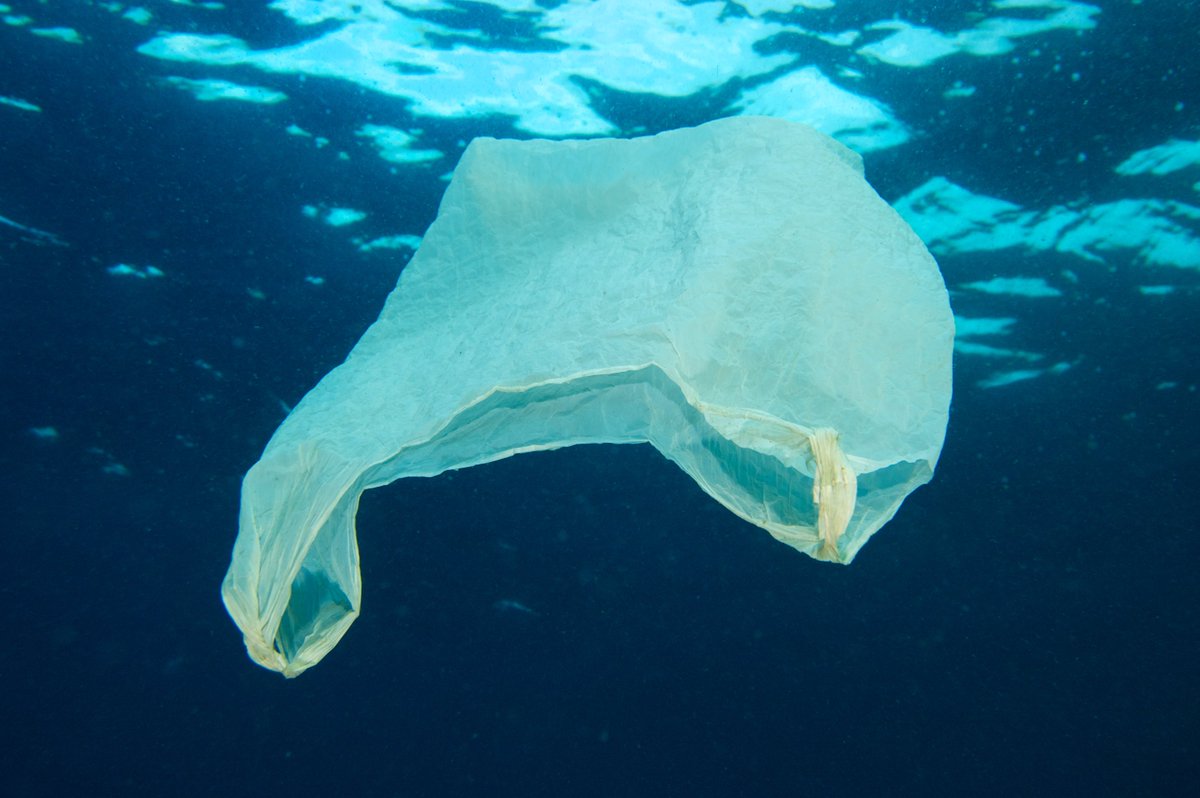 On this #PlasticBagFreeDay, check 3 great solutions helping reduce the use of plastic bags europa.eu/!nf86yN 
#PlasticsStrategy #circulareconomy