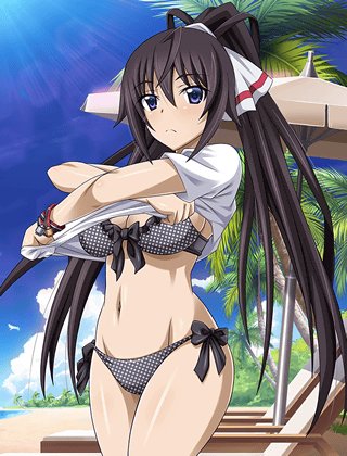 ゴ*ク様 篠ノ之箒　水着　インフィニット・ストラトス プレイマット ヨドバシ.com - ギフト Gift 篠ノ之箒 水着Ver. [IS＜インフィニット