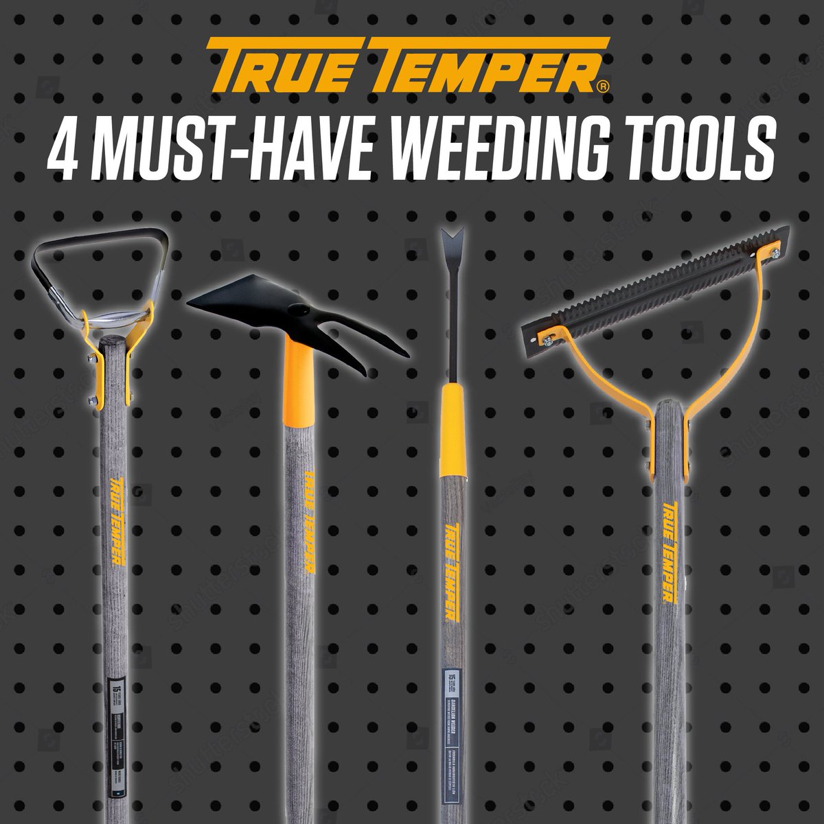 True Temper tweet media