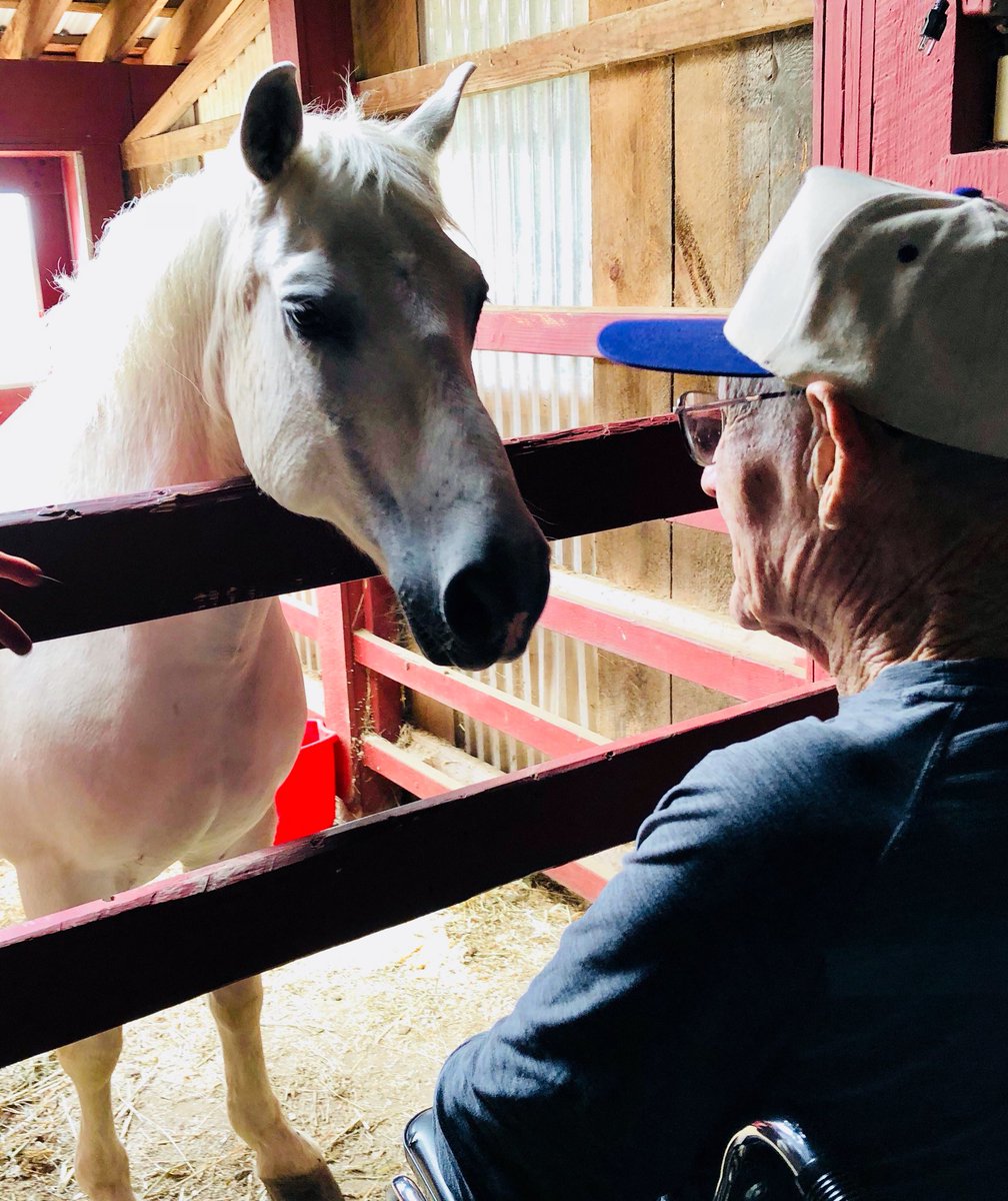 HighnMighty3's tweet photo. That moment souls connect!💕#therapyhorses #highnmighty https://t.co/tymEjoZ211