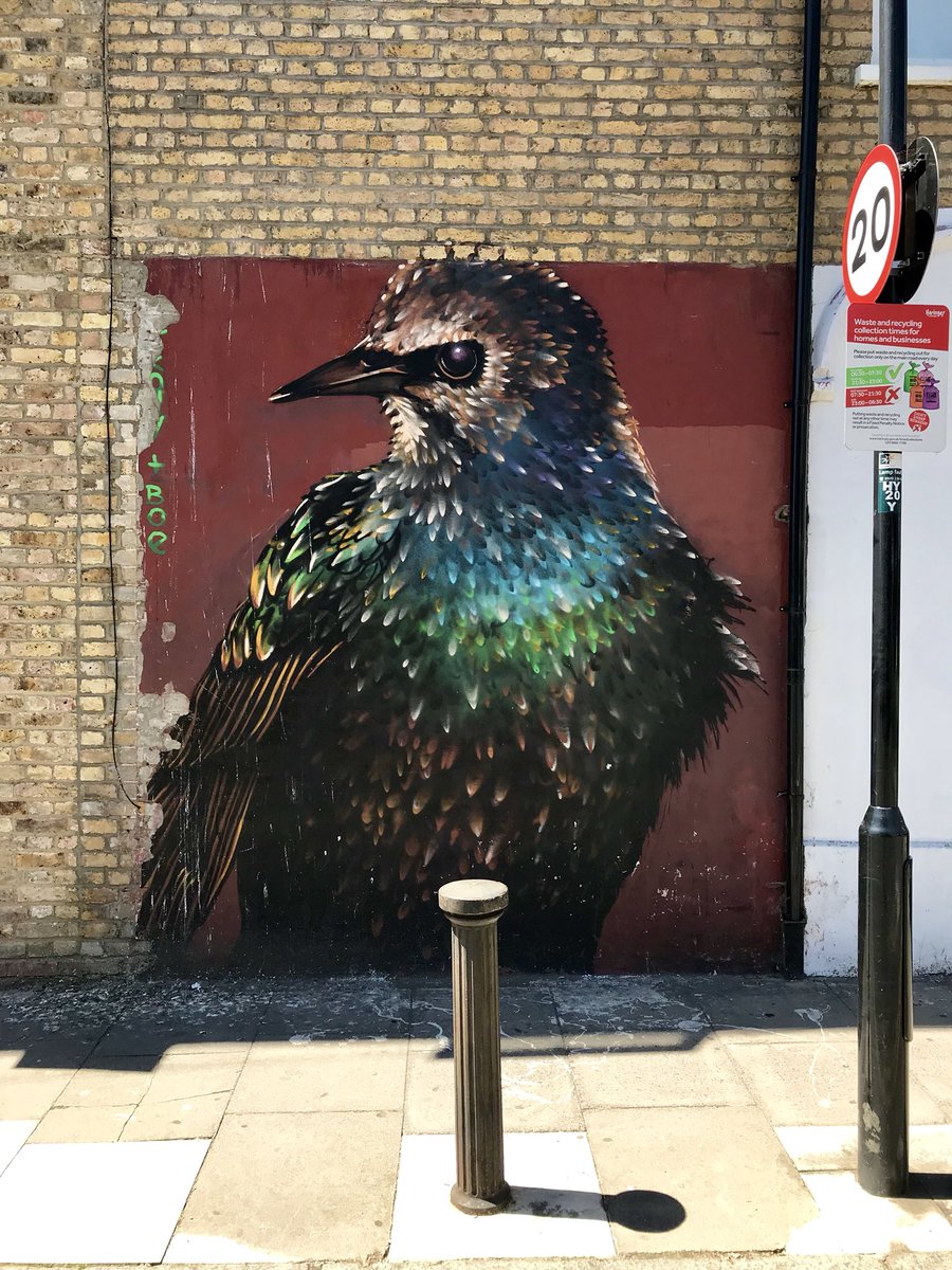 A little gem of a painting by Boe and Irony in near Turnpike Lane. 
#StreetArt #Boe #Irony #London #TurnpikeLane