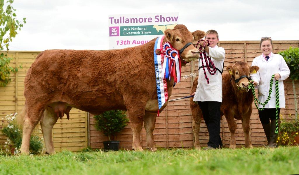 irishlimousin's tweet photo. National Show Sunday 12th August @tullamoreshow - Hard copy entries close this Friday 6th July.

Online entries close Wednesday 18th July.

To enter contact Tullamore show at 057 9352141 or visit: https://t.co/iUMGxbM97Z

Full list of Limousin classes at: https://t.co/hEtv5Vzumw https://t.co/v4kO1rjAIq