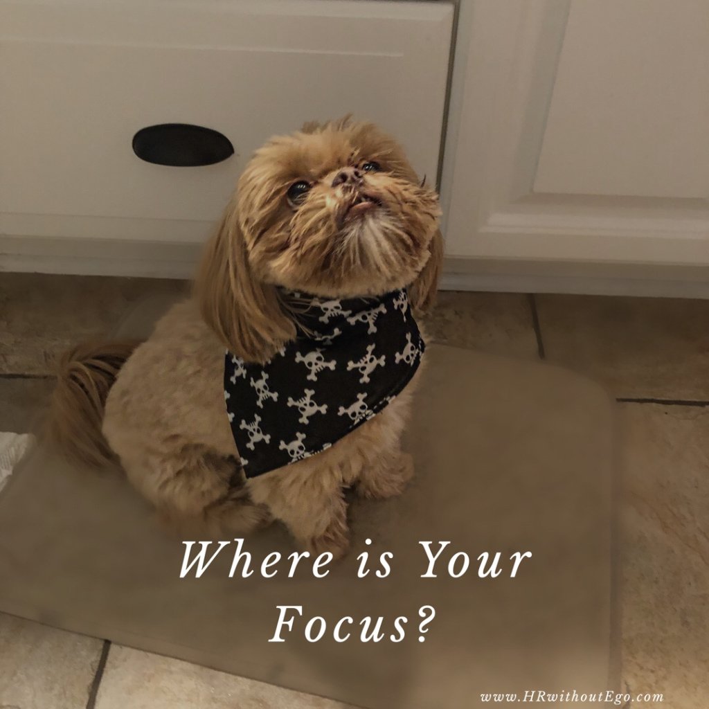 NRobertsHR's tweet image. New Blog Post: Where is Your Focus? #HR #HRBlogs #HRonPurpose #HRPositive #HRTribe hrwithoutego.com/2018/07/03/whe…