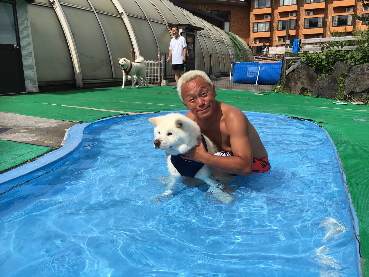 なべやかん Twitterissa 14歳 秋田犬のゴーゴ プールに入ってご機嫌だった 居候は毎日プールや海やジャグジーに入って 毎日がバカンス ドッグリゾートｗoofで犬以上にはしゃぐ 犬が主役ですよ