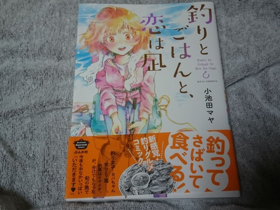 釣りとごはんと恋は凪