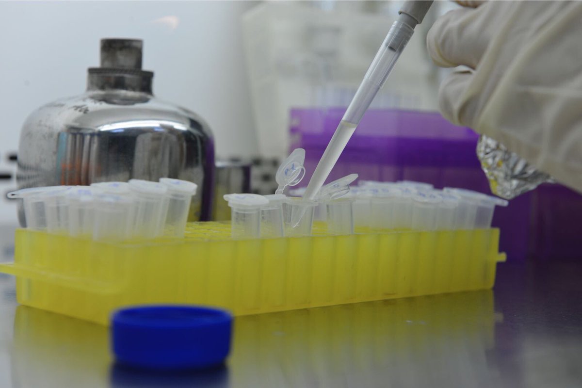RDFZiGEM's tweet photo. Lab Lab Lab https://t.co/h0L0MHHduE